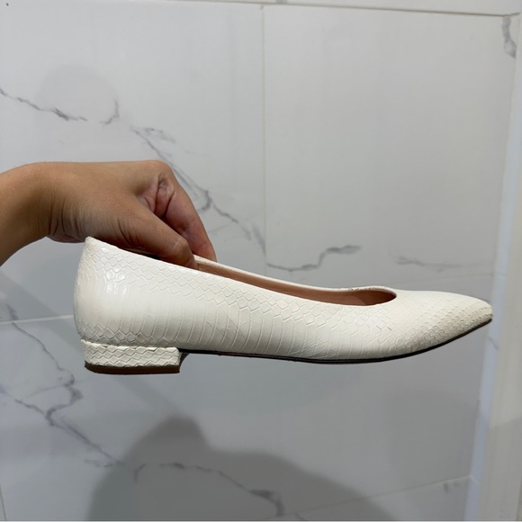 J.crew pointy toe flat in python - Picture 14 of 16